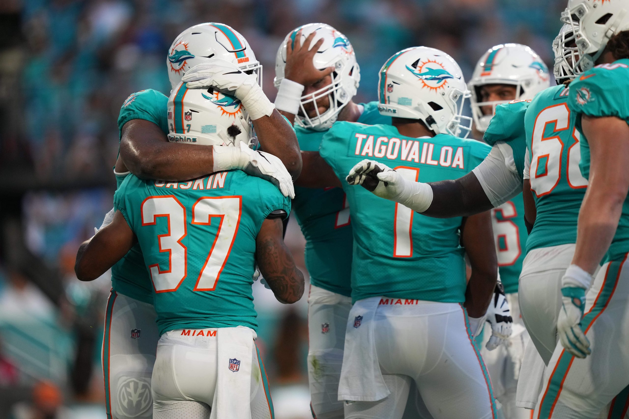 Miami Dolphins running back Myles Gaskin (37) celebrates after scoring a touchdown against the Atlanta Falcons during the first half at Hard Rock Stadium.