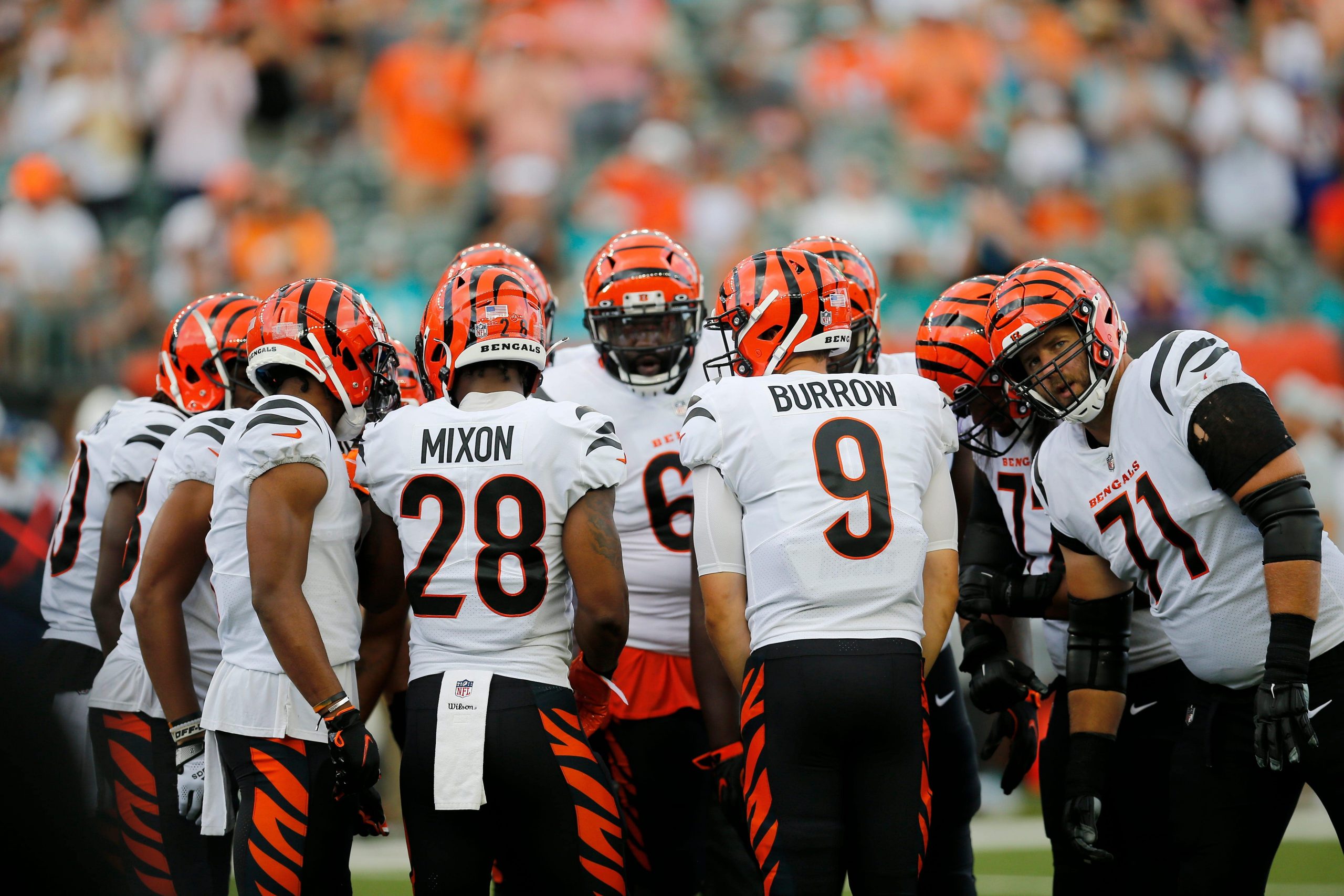 Bengals