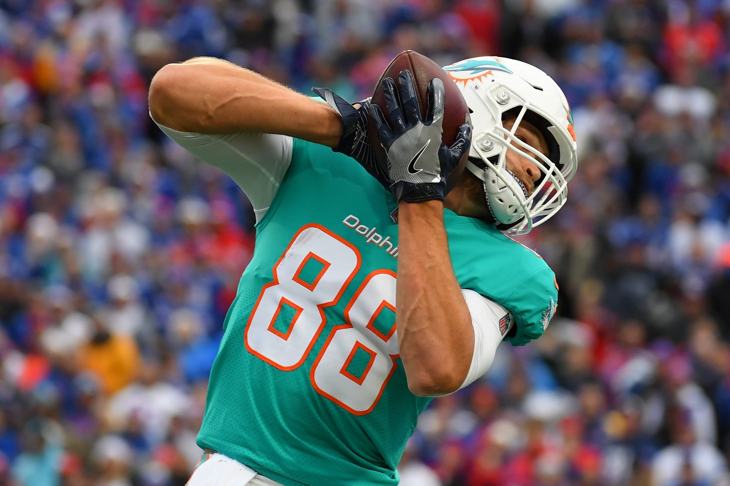 Mike Gesicki Dolphins