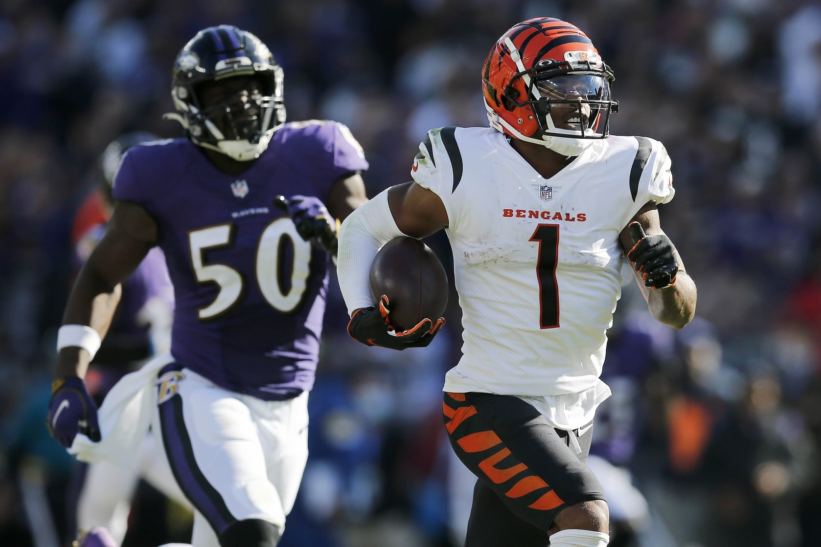 Nfl Week 11 Same Game Parlay (+ Odds): Bengals Vs Raiders