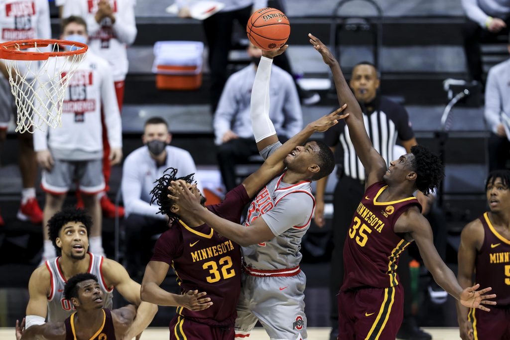 The Minnesota Golden Gophers