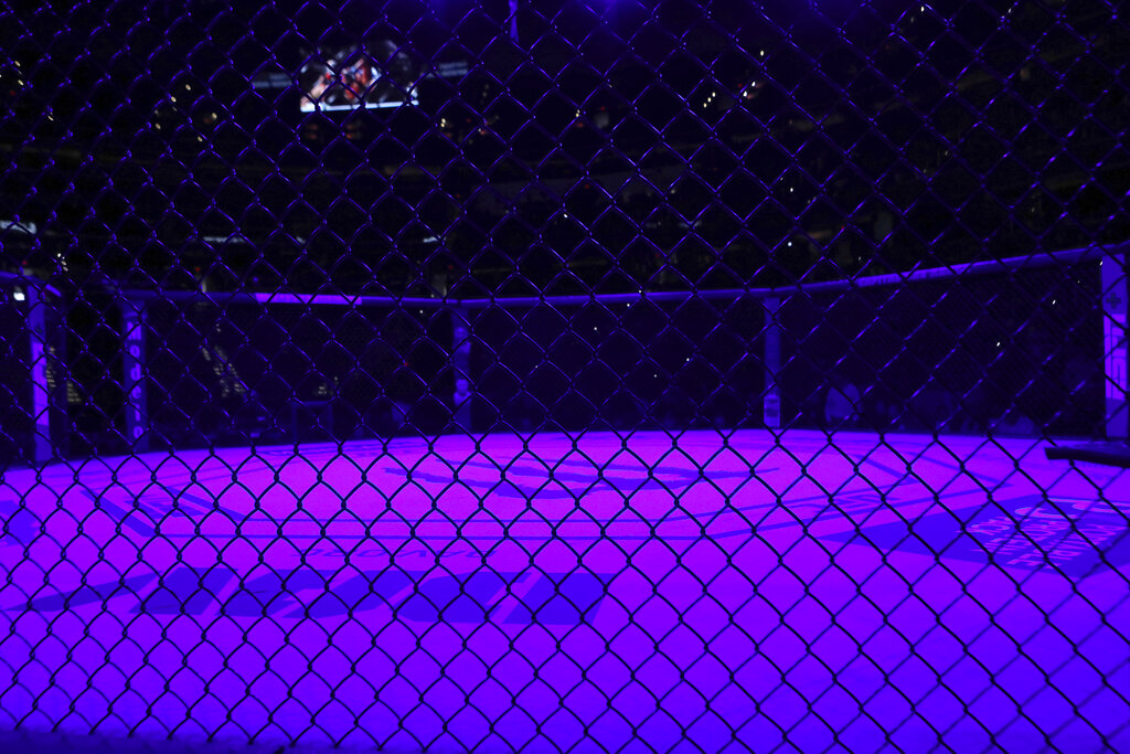 A general overall view of the empty Octagon is seen before a heavyweight mixed martial arts bout at UFC Fight Night, Sunday, December 8, 2019, in Washington, D.C.