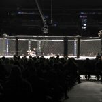 An overall, general view of the octagon at UFC Fight Night, Sunday, December 8, 2019, in Washington, D.C.