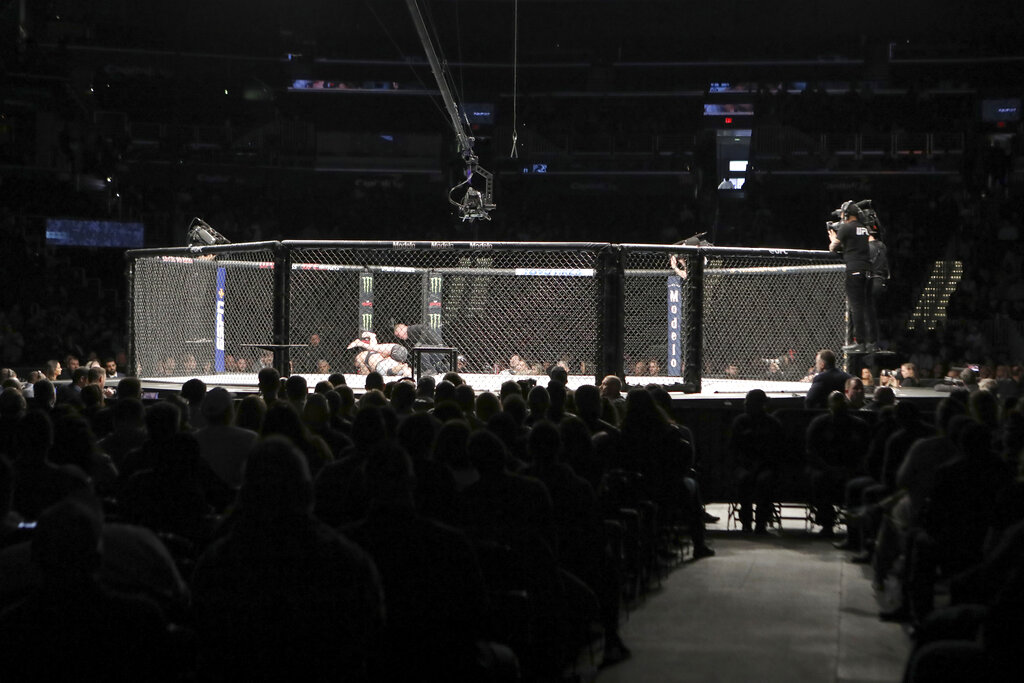 An overall, general view of the octagon at UFC Fight Night, Sunday, December 8, 2019, in Washington, D.C.
