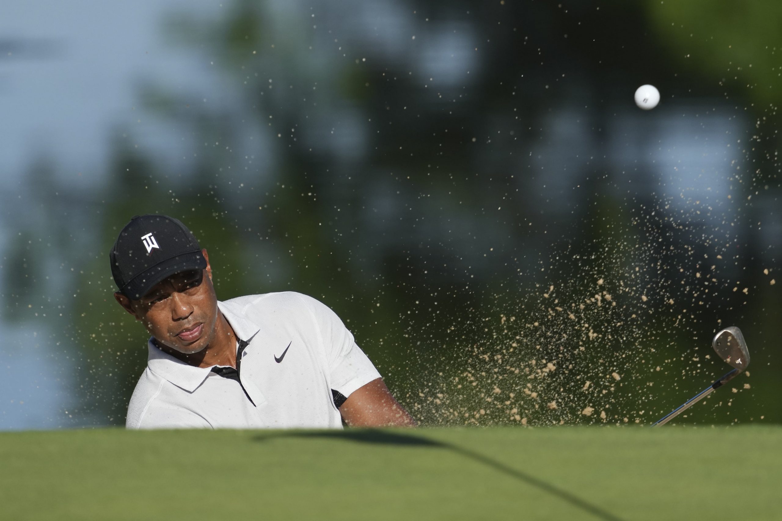 Tiger Woods