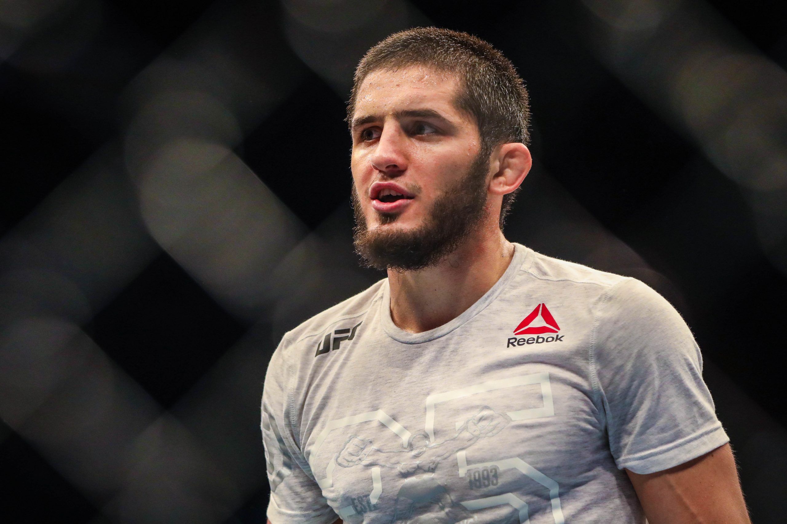 Islam Makhachev Vs Alexander Volkanovski Stats - je7fvyu